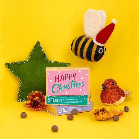 Happy Christmas Large Seed Ball Boxes Set of Three